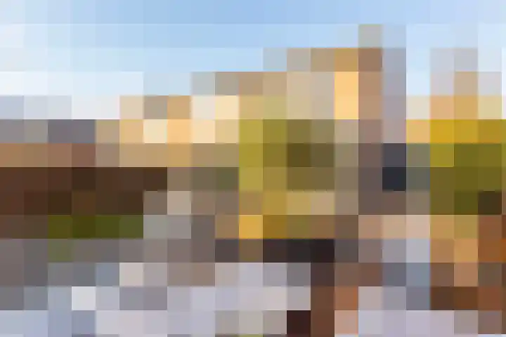Duivenkamp 77 Maarssen thumbnail 55