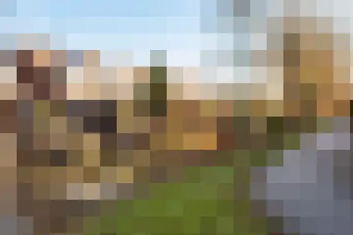 Duivenkamp 77 Maarssen thumbnail 60