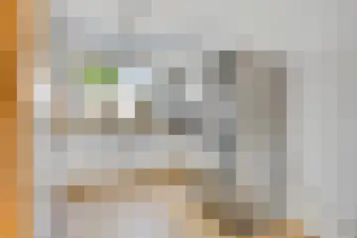 Duivenkamp 843 Maarssen thumbnail 10