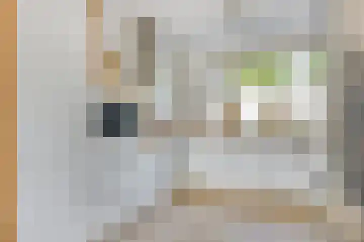 Duivenkamp 843 Maarssen thumbnail 11