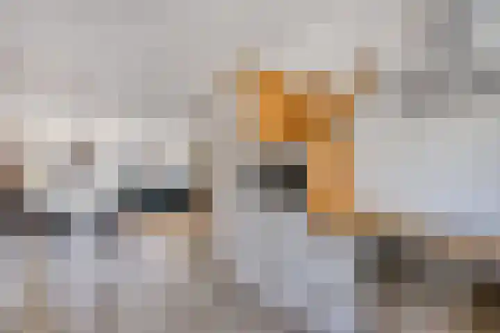 Duivenkamp 843 Maarssen thumbnail 13