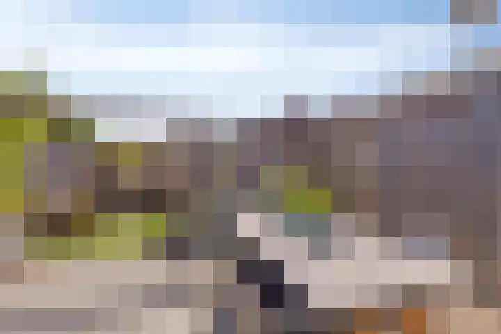 Duivenkamp 843 Maarssen thumbnail 27