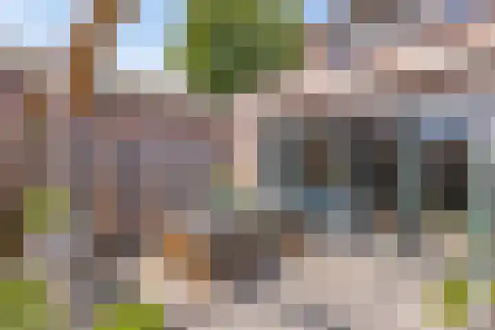 Duivenkamp 843 Maarssen thumbnail 29