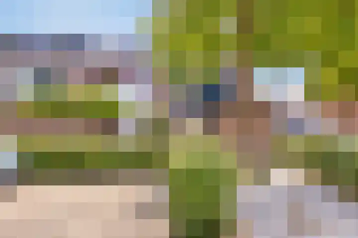 Duivenkamp 843 Maarssen thumbnail 32