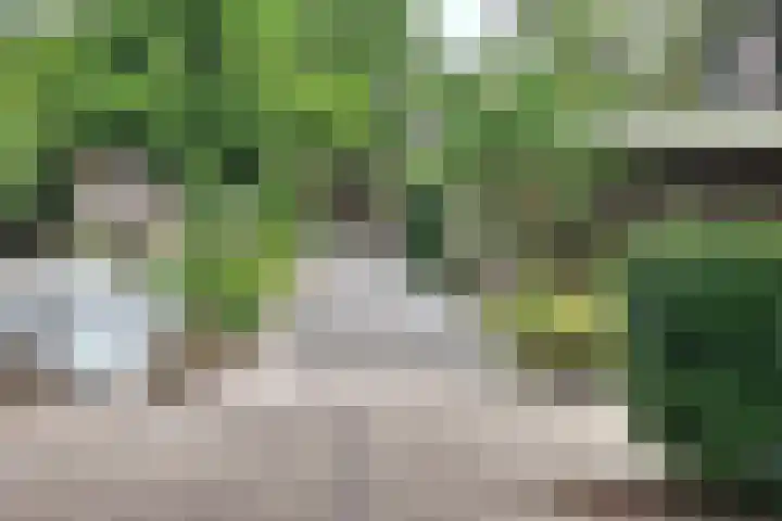 Duivenkamp 843 Maarssen thumbnail 35
