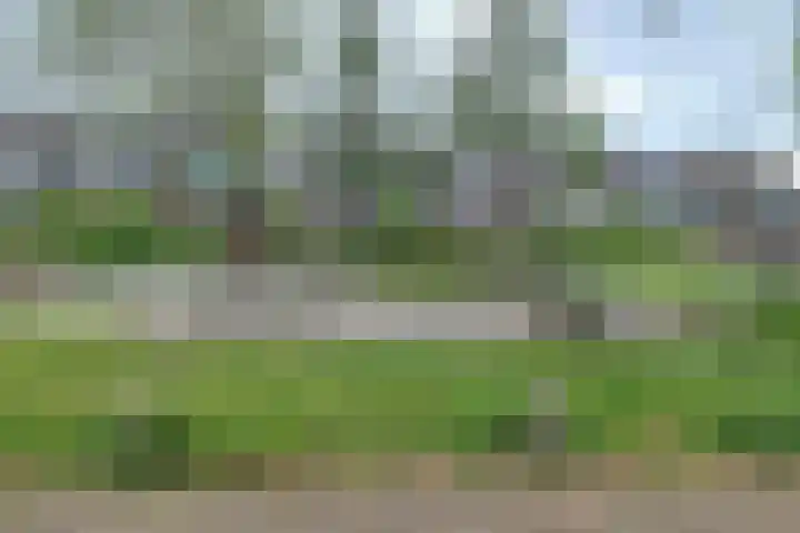 Duivenkamp 843 Maarssen thumbnail 36