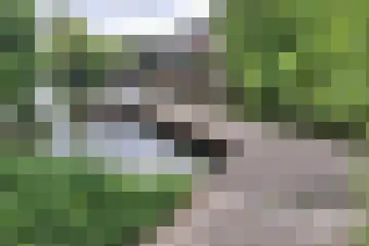 Duivenkamp 843 Maarssen thumbnail 38