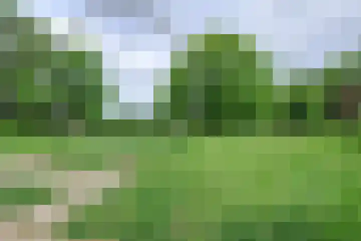 Duivenkamp 843 Maarssen thumbnail 39