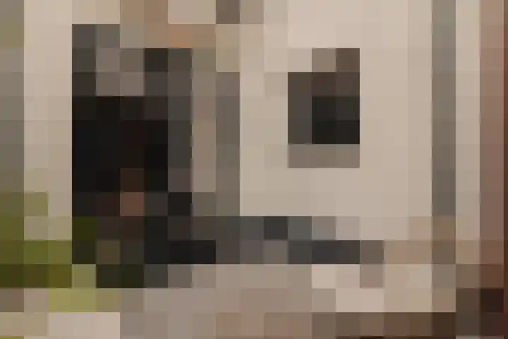 Duivensteeg 2 A Naarden thumbnail 17