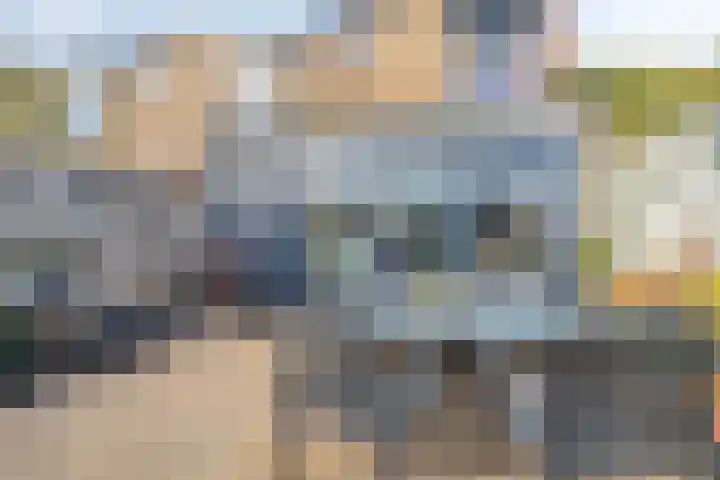 Duivensteen 41 Zevenbergen thumbnail 21