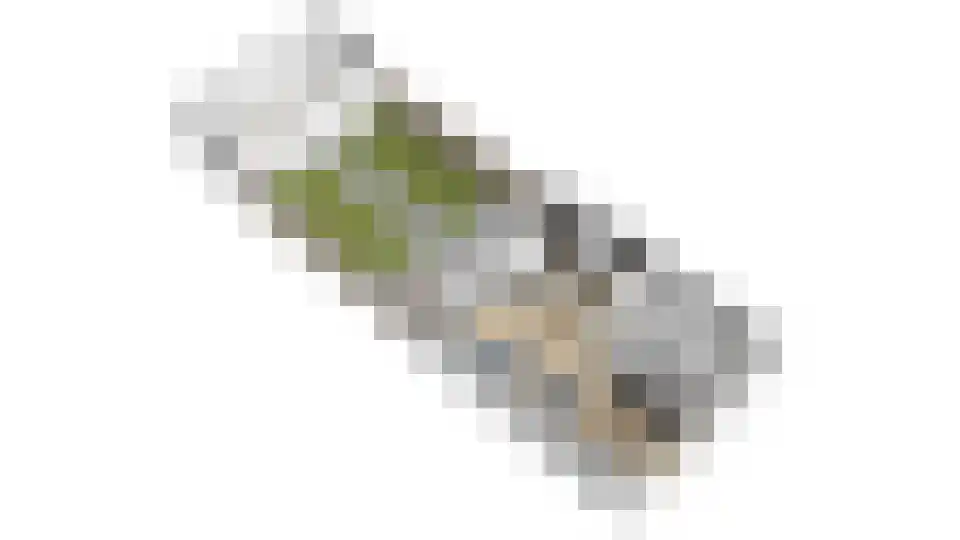 Duiventoren 92 Oudenbosch thumbnail 31