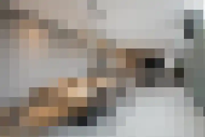 Duizelseweg 4 Eersel thumbnail 14