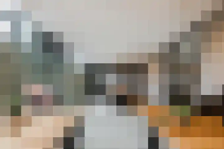 Duizelseweg 4 Eersel thumbnail 16