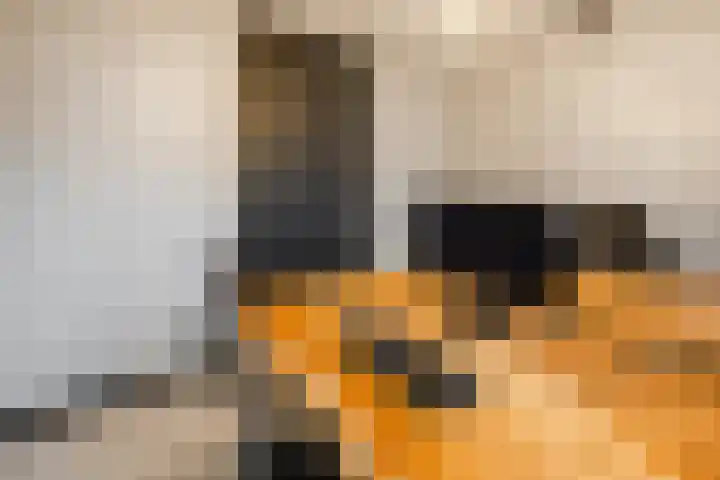 Duizelseweg 4 Eersel thumbnail 18
