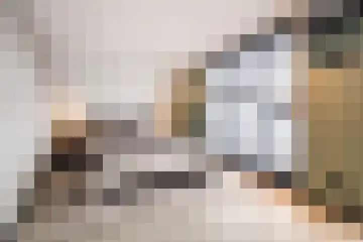 Duizelseweg 4 Eersel thumbnail 21