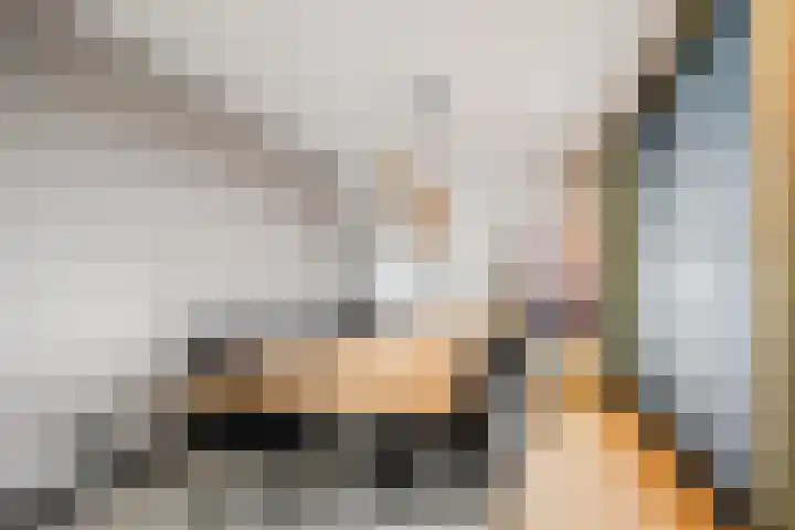 Duizelseweg 4 Eersel thumbnail 24