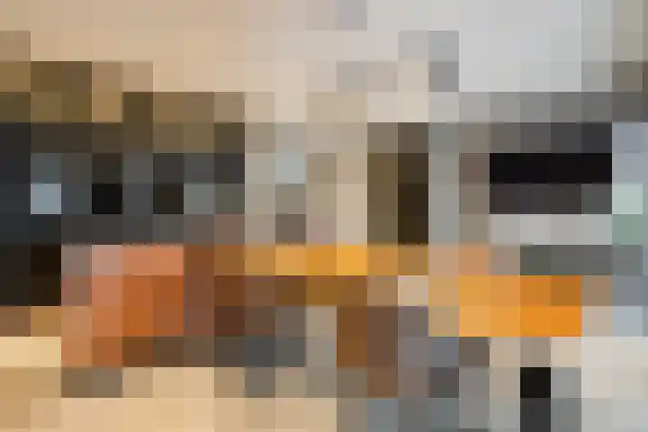 Duizelseweg 4 Eersel thumbnail 4