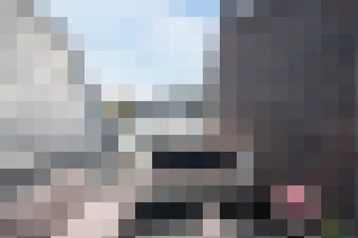 Duizelseweg 4 Eersel thumbnail 41