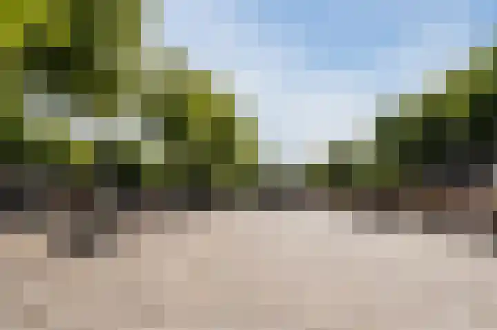 Duizelseweg 4 Eersel thumbnail 51