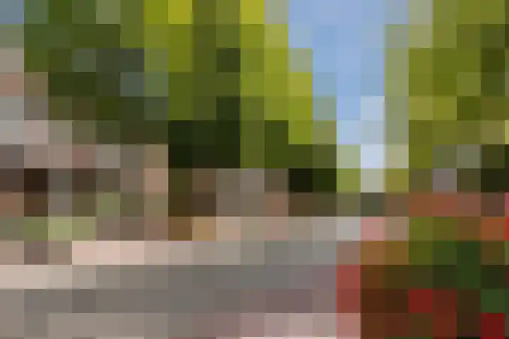 Duizelseweg 5 a Eersel thumbnail 43