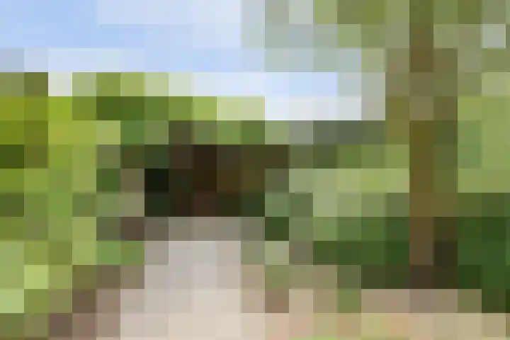 Duizendblad 11 Kapelle thumbnail 41