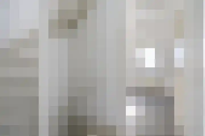 Duizendblad 13 Oss thumbnail 12