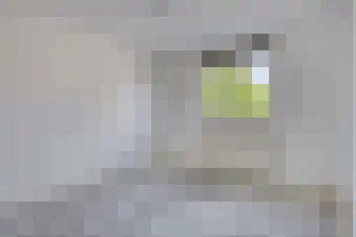 Duizendblad 13 Oss thumbnail 14