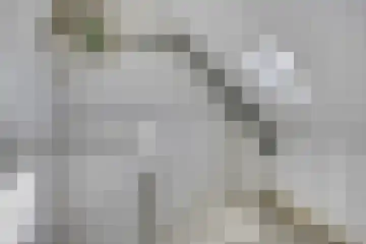 Duizendblad 13 Oss thumbnail 17
