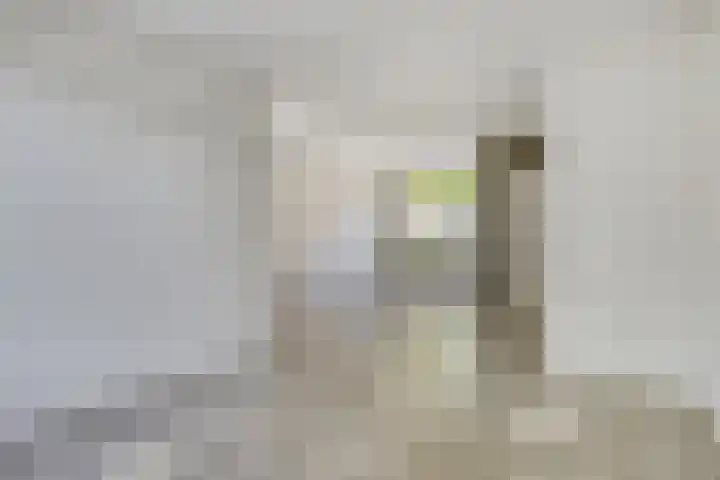 Duizendblad 13 Oss foto 2