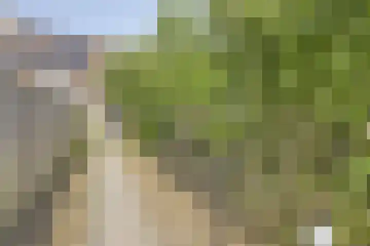 Duizendblad 13 Oss thumbnail 21