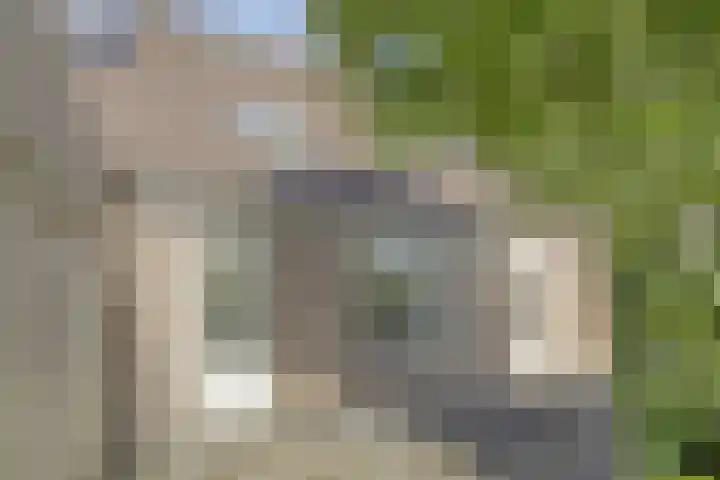 Duizendblad 13 Oss thumbnail 22