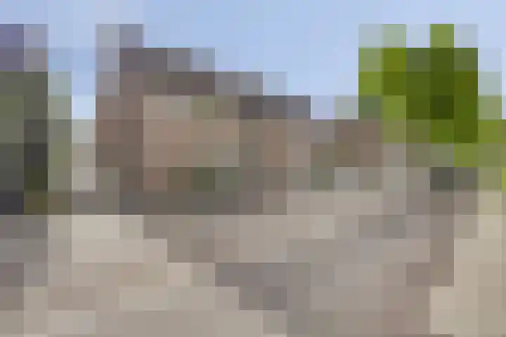 Duizendblad 13 Oss thumbnail 26
