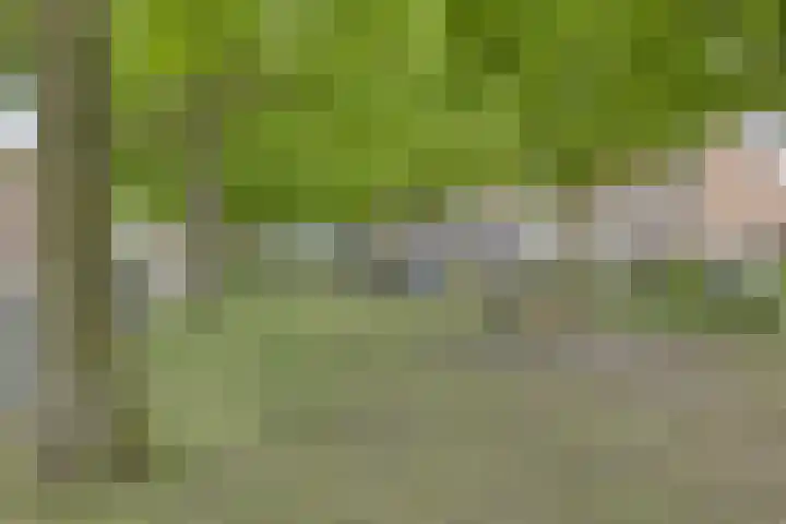 Duizendblad 13 Oss thumbnail 27