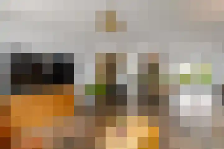 Duizendblad 13 Oss thumbnail 33