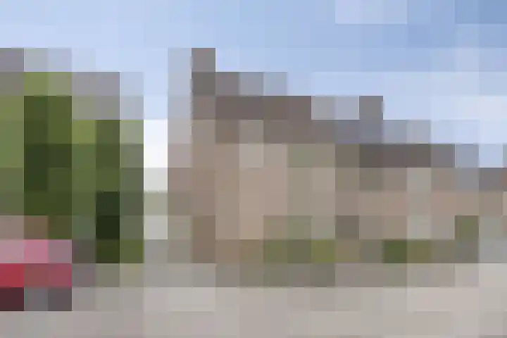 Duizendblad 13 Oss thumbnail 4