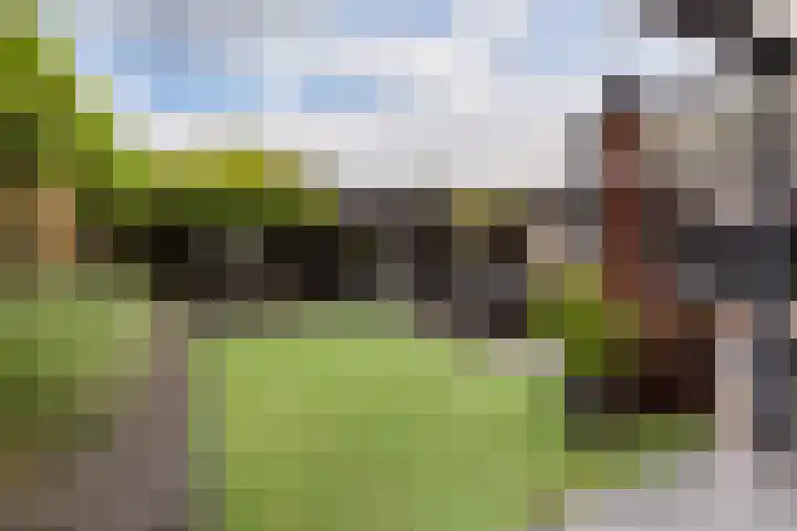 Duizendblad 13 Oss thumbnail 6