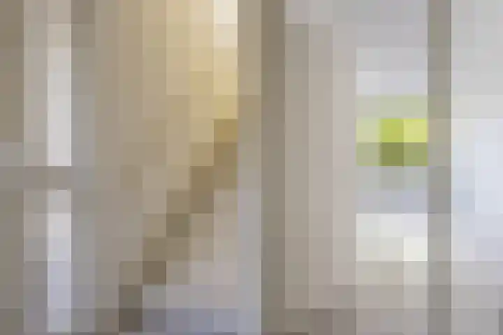 Duizendblad 13 Oss thumbnail 6