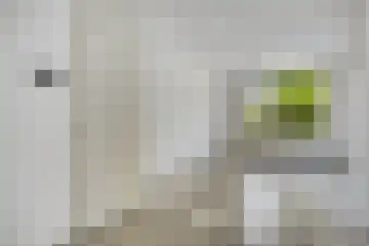 Duizendblad 13 Oss thumbnail 8