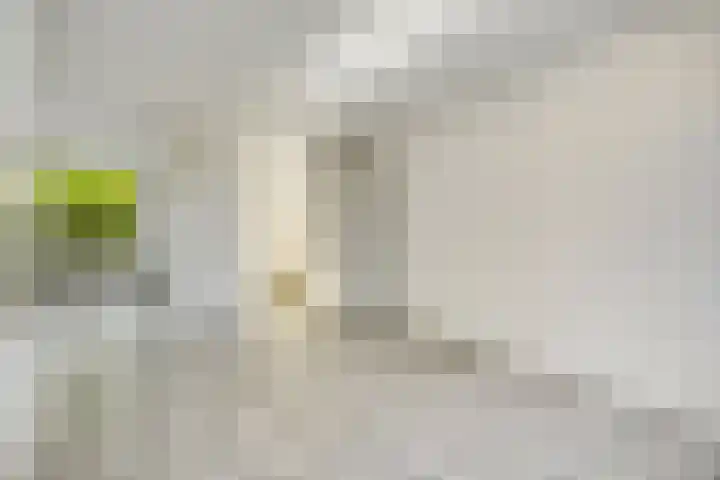 Duizendblad 13 Oss thumbnail 9