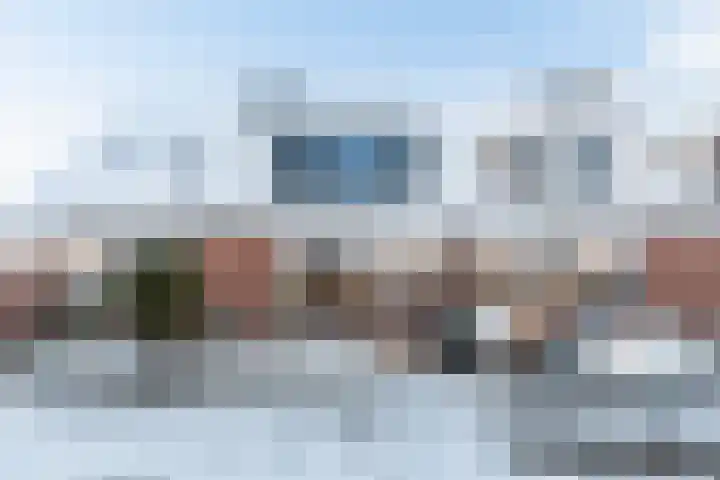 Duizendblad 3 Sneek
