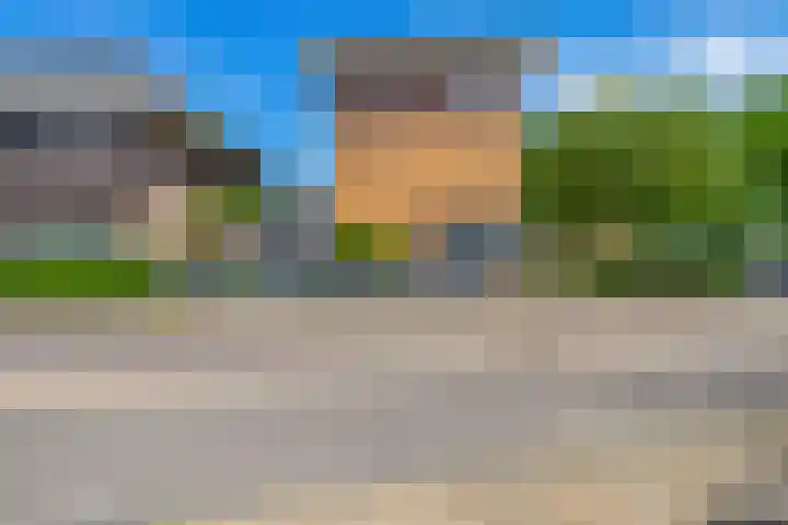 Duizendschoon 91 in Hendrik-Ido-Ambacht