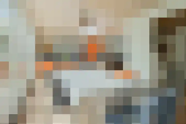 Duizendschoonstraat 35 Uden thumbnail 13