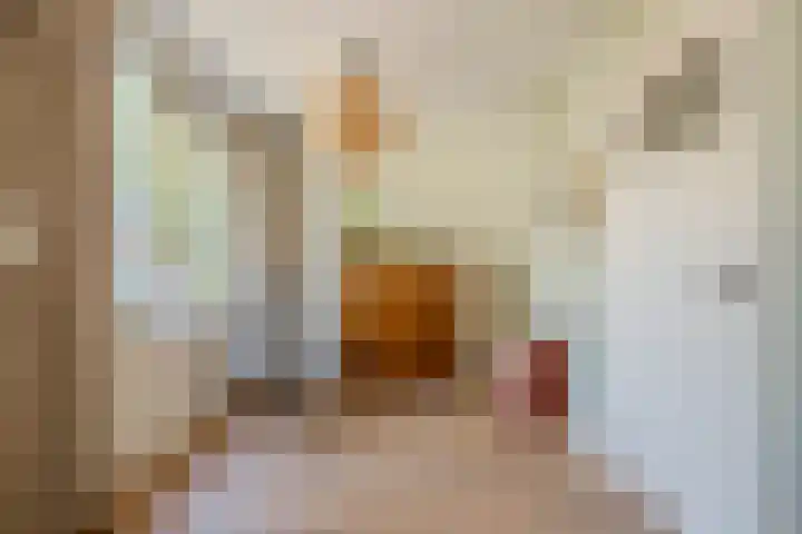 Duizendschoonstraat 35 Uden thumbnail 24