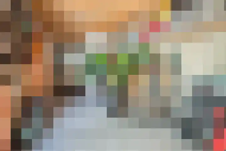 Duizendschoonstraat 35 Uden thumbnail 29