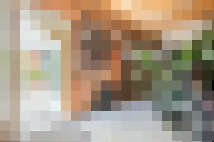Duizendschoonstraat 35 Uden thumbnail 30