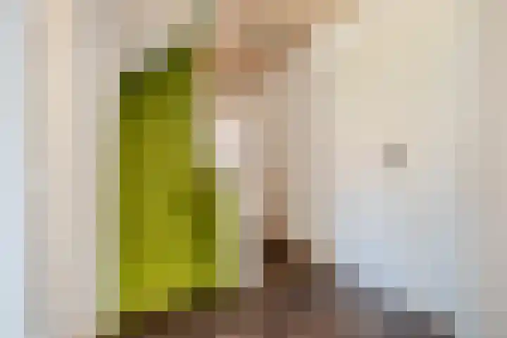 Duizendschoonstraat 35 Uden thumbnail 34