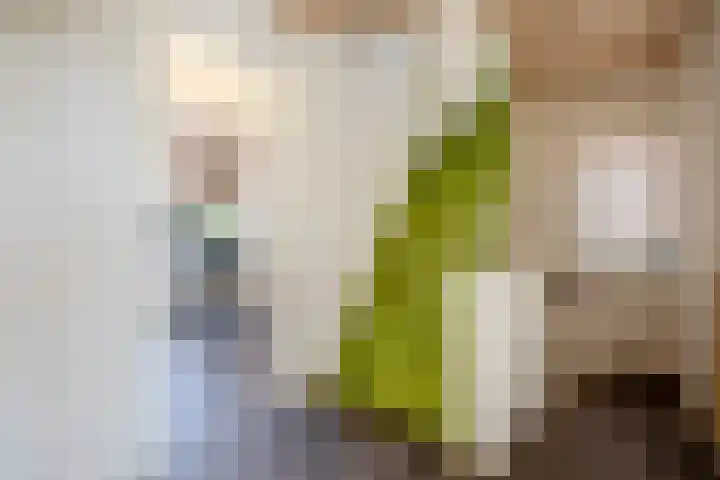 Duizendschoonstraat 35 Uden thumbnail 35