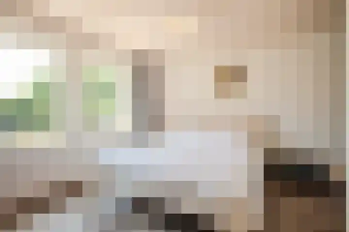 Duizendschoonstraat 35 Uden thumbnail 44