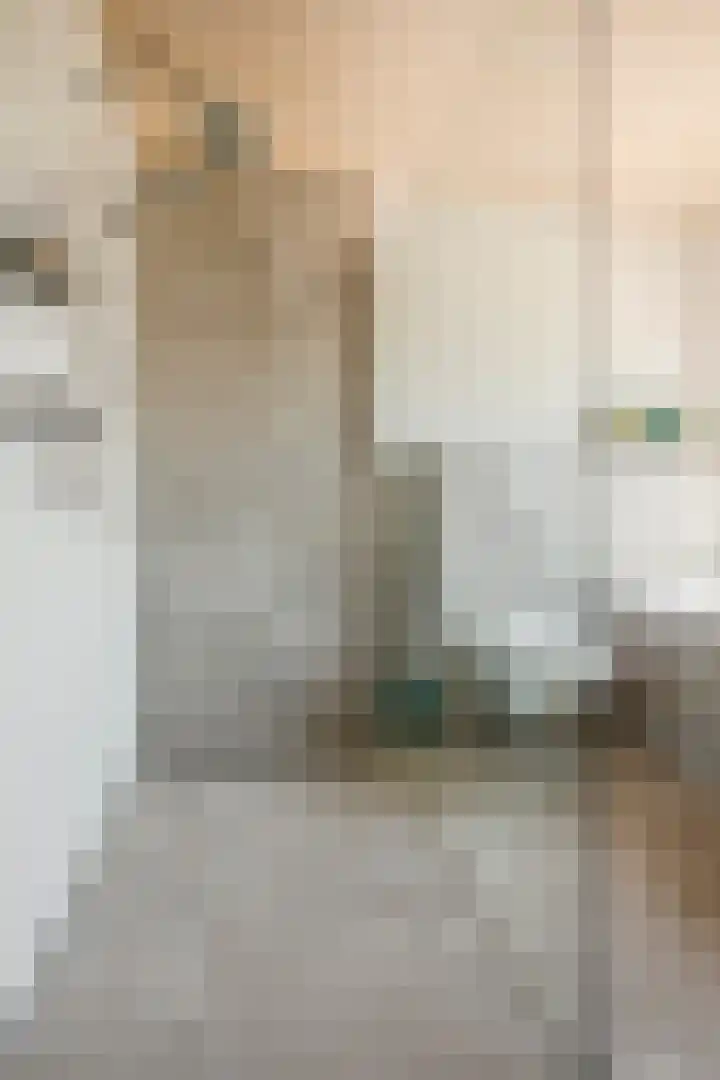Duizendschoonstraat 35 Uden thumbnail 50