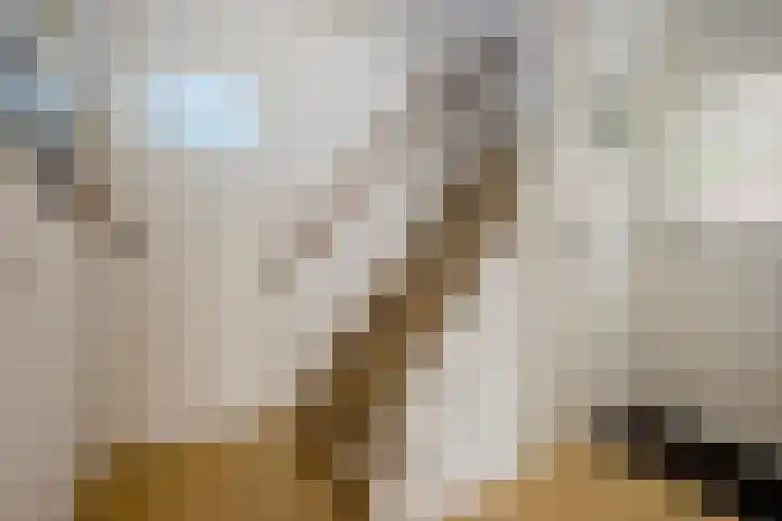 Duizendschoonstraat 35 Uden thumbnail 6